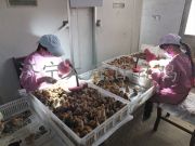 ���ݿ��Ρ��й��Ρ��ٷ���վ