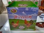 ���ݿ��Ρ��й��Ρ��ٷ���վ