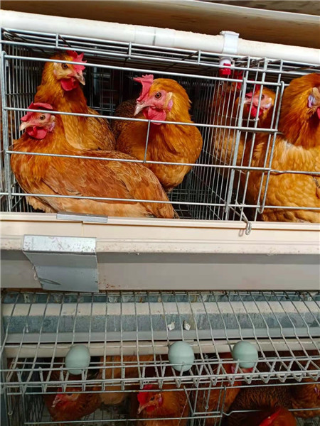 ���ݿ��Ρ��й��Ρ��ٷ���վ